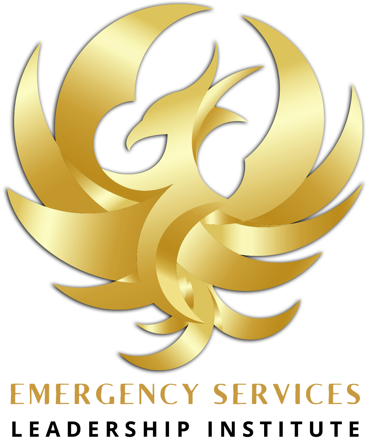 Emergency Services Leadership Institute